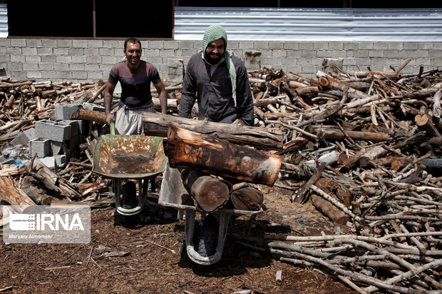 تهیه زغال تهدیدی برای محیط زیست
