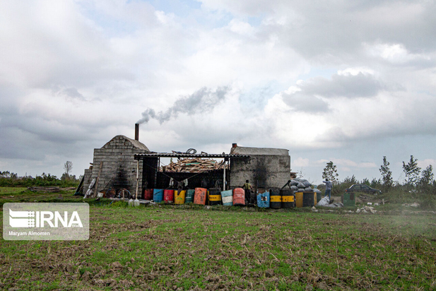 تهیه زغال تهدیدی برای محیط زیست