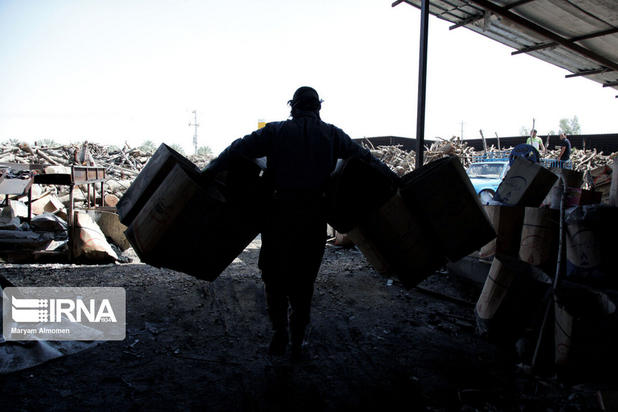 تهیه زغال تهدیدی برای محیط زیست