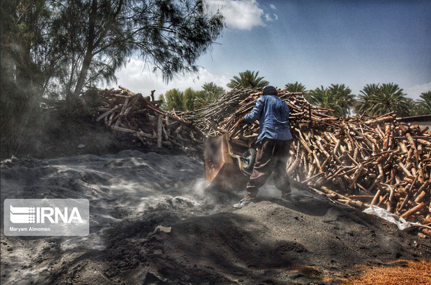 تهیه زغال تهدیدی برای محیط زیست