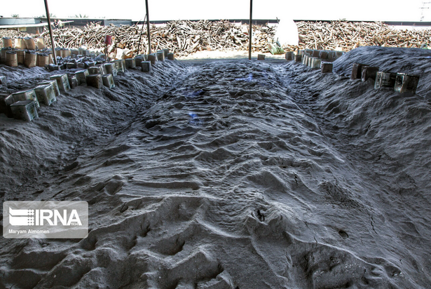 تهیه زغال تهدیدی برای محیط زیست