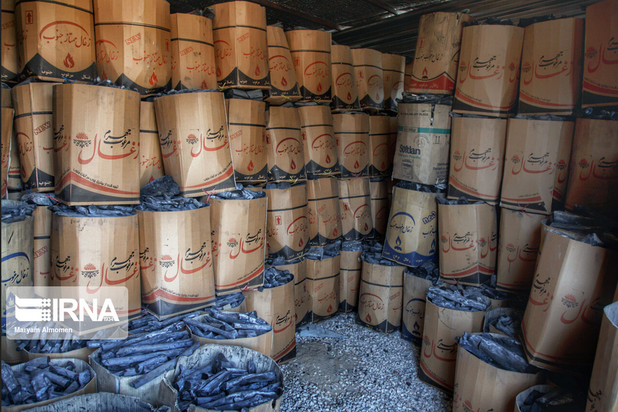 تهیه زغال تهدیدی برای محیط زیست