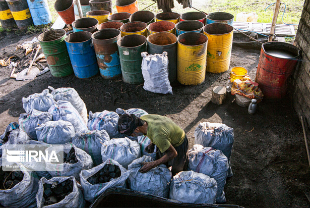 تهیه زغال تهدیدی برای محیط زیست