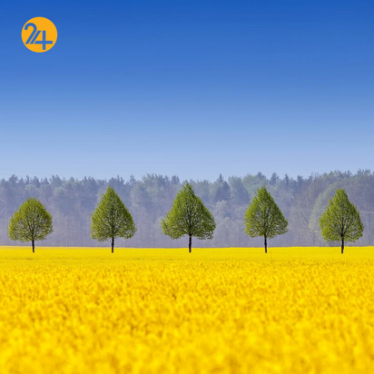 برندگان جشنواره PX۳ پاریس