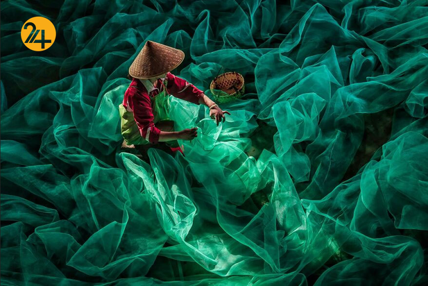 برندگان جشنواره PX۳ پاریس