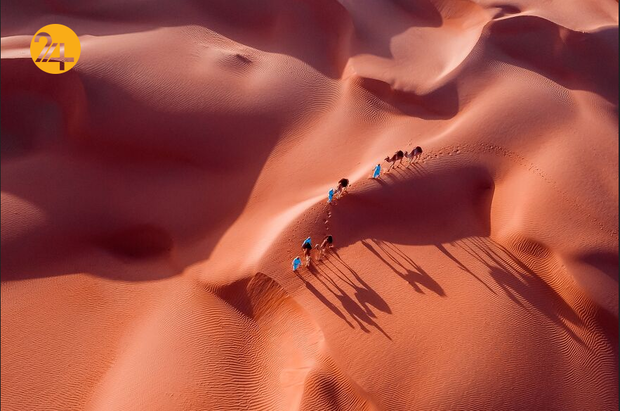 برندگان جشنواره PX۳ پاریس