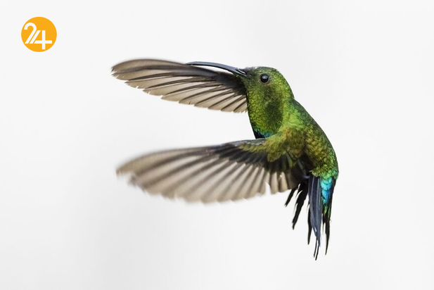 برندگان جشنواره PX۳ پاریس