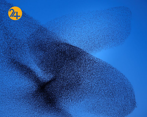 برندگان جشنواره PX۳ پاریس