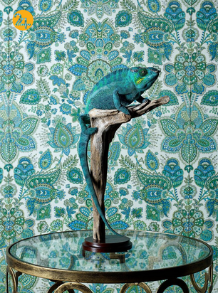 برندگان جایزه بین‌المللی عکس سینا