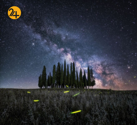 برندگان جایزه بین‌المللی عکس سینا