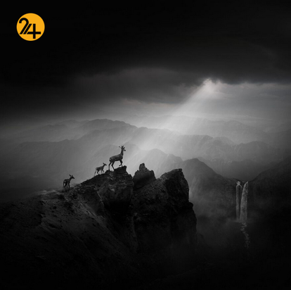 برندگان جایزه بین‌المللی عکس سینا