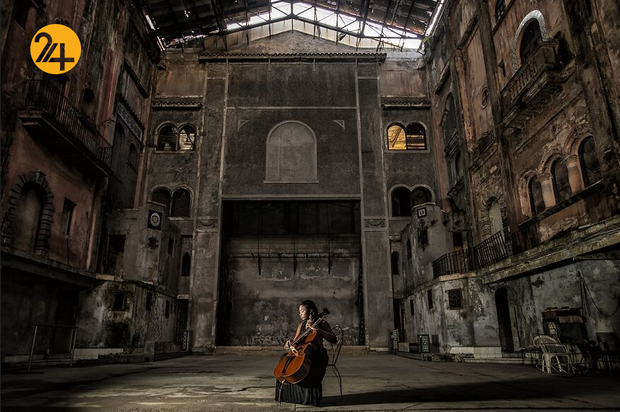 برندگان جایزه بین‌المللی عکس سینا