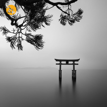 برندگان جایزه بین‌المللی عکس سینا