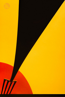 برندگان جایزه بین‌المللی عکس سینا