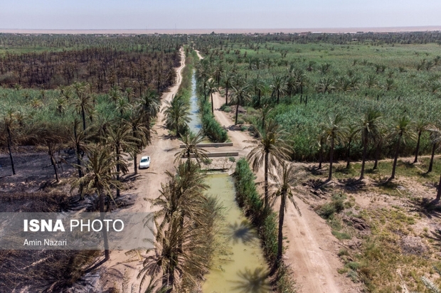 نخلستان‌های اروندکنار در خاکستر