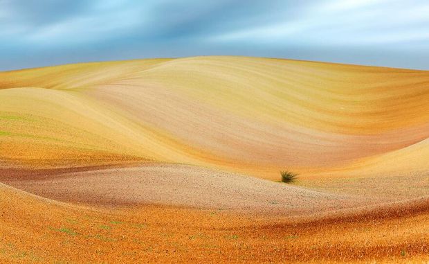 مسابقه عکاسی طبیعت ۲۰۲۱