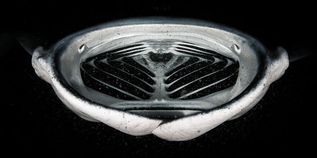 مسابقه عکاسی طبیعت ۲۰۲۱