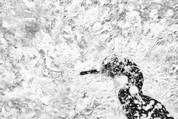 مسابقه عکاسی طبیعت ۲۰۲۱