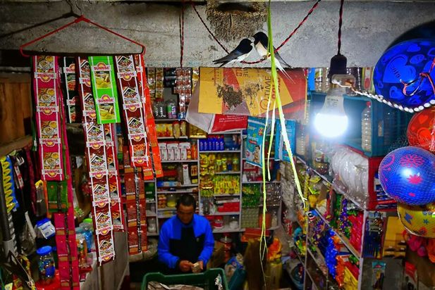 مسابقه عکاسی طبیعت ۲۰۲۱