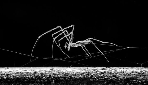 مسابقه عکاسی طبیعت ۲۰۲۱