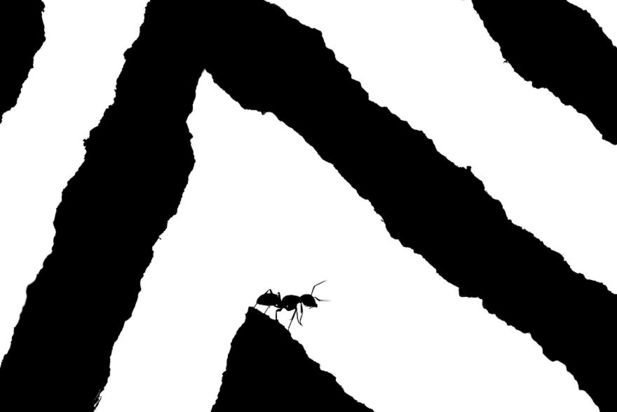 مسابقه عکاسی طبیعت ۲۰۲۱