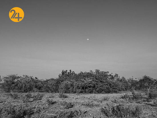 آدریان بیتیبالی عکاس مستند