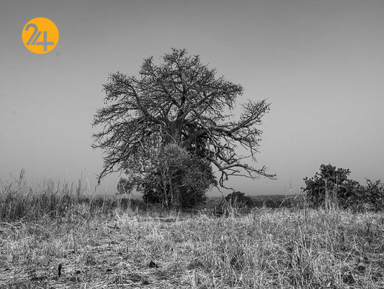 آدریان بیتیبالی عکاس مستند