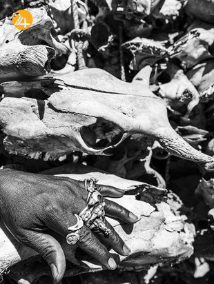 آدریان بیتیبالی عکاس مستند