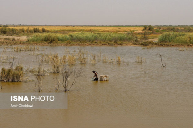 خشکی هورالعظیم در دشت آزادگان