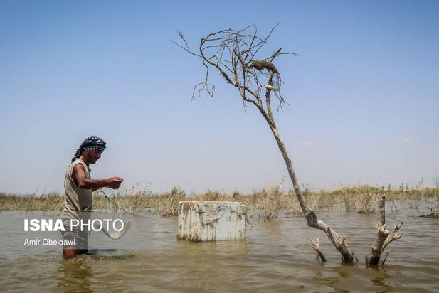 خشکی هورالعظیم در دشت آزادگان