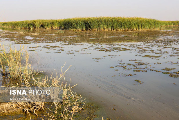 خشکی هورالعظیم در دشت آزادگان