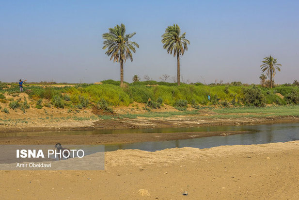 خشکی هورالعظیم در دشت آزادگان