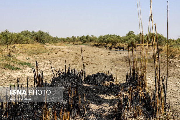 خشکی هورالعظیم در دشت آزادگان