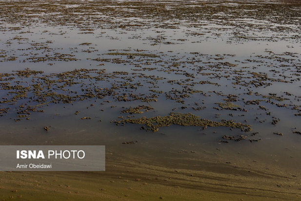 خشکی هورالعظیم در دشت آزادگان