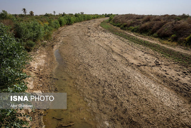 خشکی هورالعظیم در دشت آزادگان