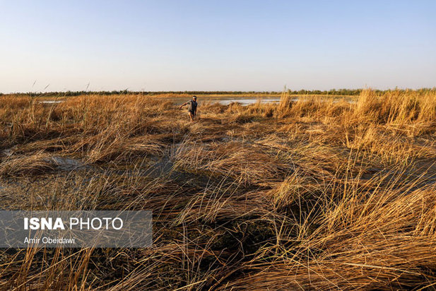 خشکی هورالعظیم در دشت آزادگان