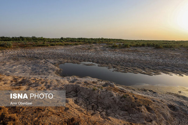 خشکی هورالعظیم در دشت آزادگان