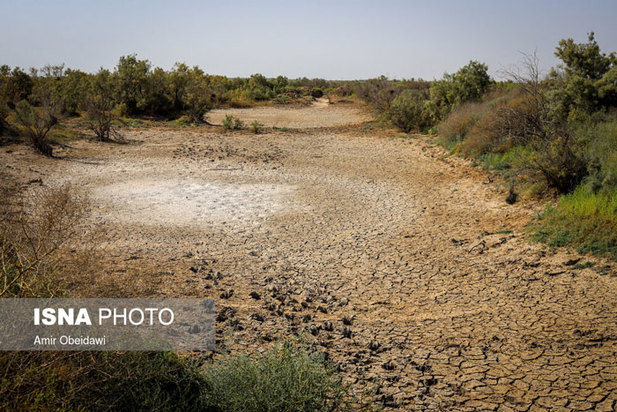 خشکی هورالعظیم در دشت آزادگان