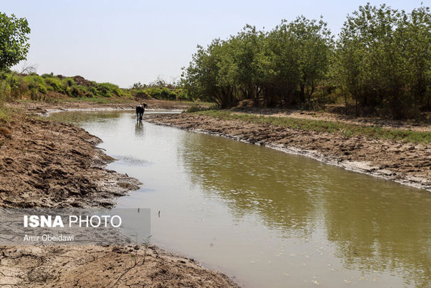 خشکی هورالعظیم در دشت آزادگان