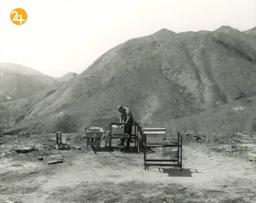 آثار مسابقه عکاسی پریکس پیکتت ۲۰۲۱