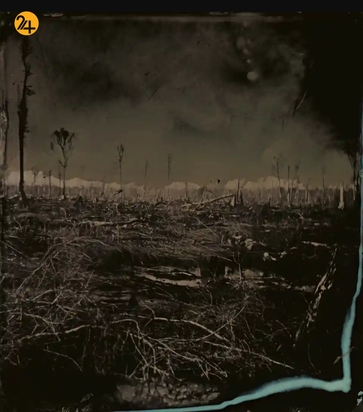 آثار مسابقه عکاسی پریکس پیکتت ۲۰۲۱