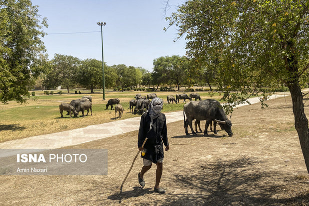 تشدید گرمای تابستان در سراسر ایران
