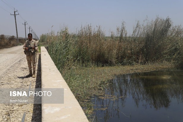 روزهای بحرانی تالاب هورالعظیم