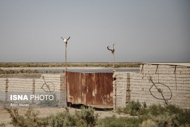 روزهای بحرانی تالاب هورالعظیم