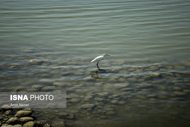 روزهای بحرانی تالاب هورالعظیم