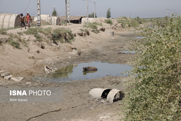 روزهای بحرانی تالاب هورالعظیم