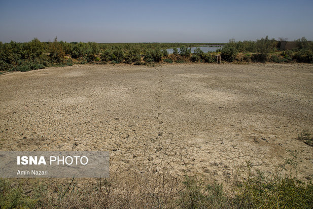 روزهای بحرانی تالاب هورالعظیم