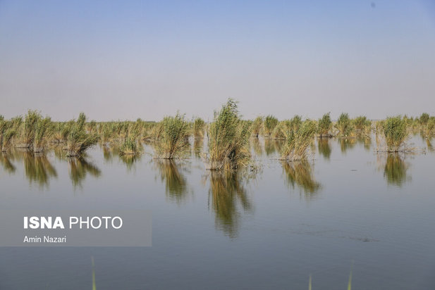 روزهای بحرانی تالاب هورالعظیم