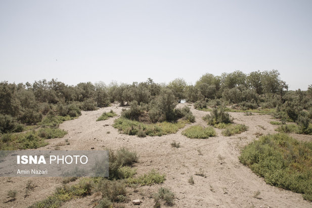 روزهای بحرانی تالاب هورالعظیم