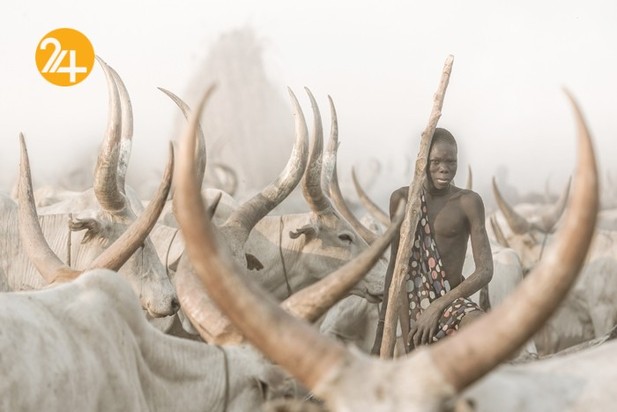 برندگان جوایز بین المللی عکاسی پرتره سال ۲۰۲۱